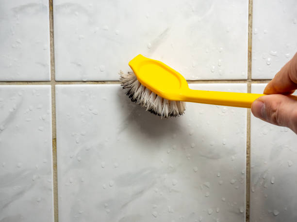 Best Mold Removal Process  in Alma, GA